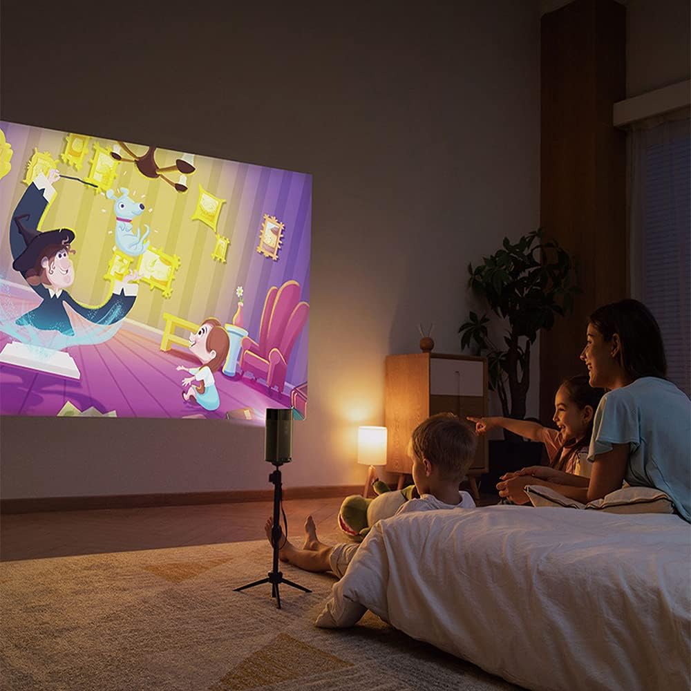 ANKER Projectors D2410T11