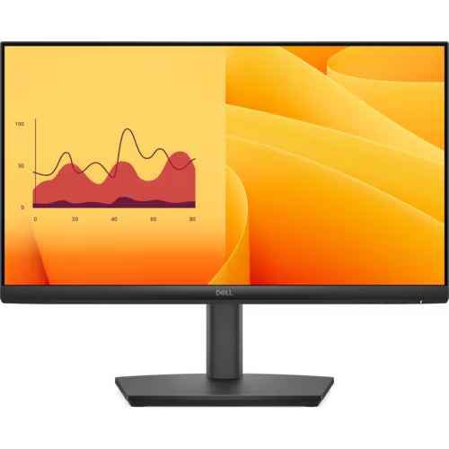 DELL Computer Monitors E2225HSM