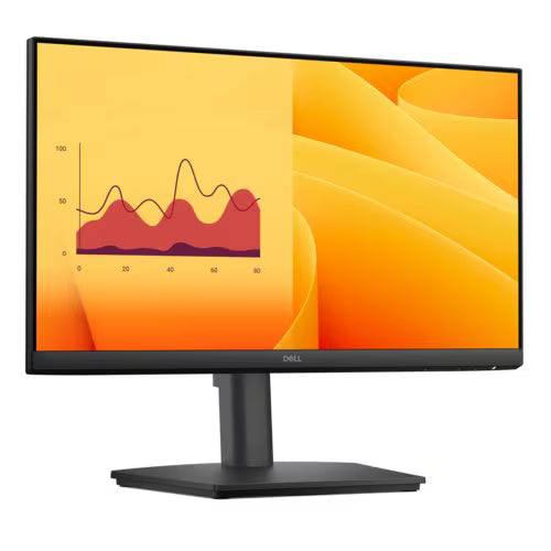 DELL Computer Monitors E2225HSM
