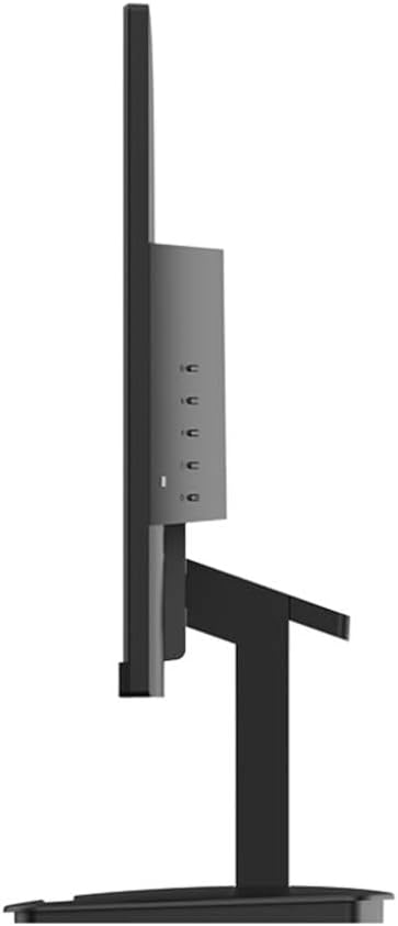 MSI Computer Monitors MP2412
