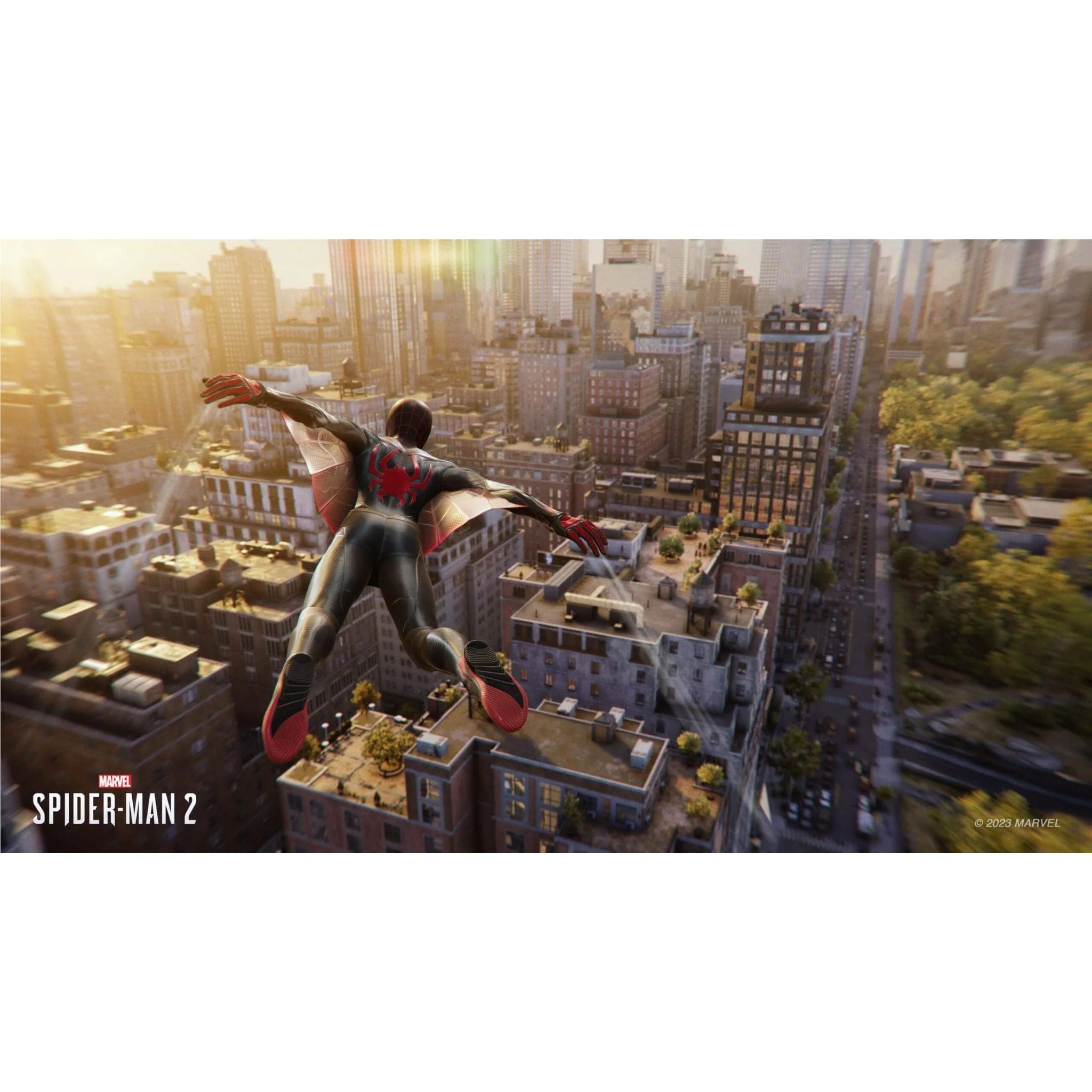 SONY Video Games 1000039308